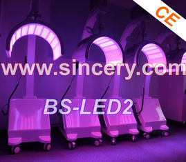 Berufsphototherapie-Maschine 10 des schönheits-Salon-LED - Frequenz 110HZ