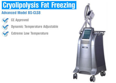 Fetter brennender fetter Frost Cryolipolysis, der Maschine, fette Hohlraumbildungs-Maschine für Mann-Frauen abnimmt