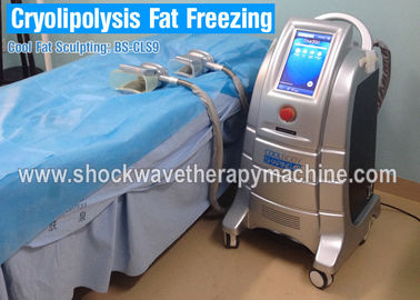 4 Griffe Cryolipolysis-Gewichtsverlust-Ausrüstung, die Maschine für schnellen Fettabbau abnimmt