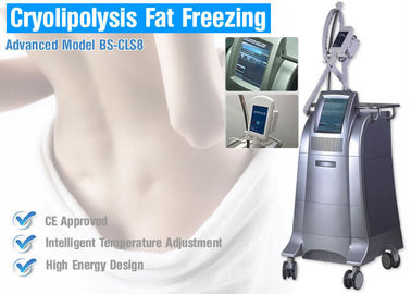 Gewichtsverlust Cryolipolysis Körper Abnehmen Maschine, Fettverbrennung Ausrüstung Nicht-Chirurgische Fettabsaugung
