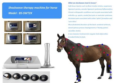 Akustische pferdeartige Tierpunkttherapie des schmerz-Behandlungs-Stoßwellen-Therapie-Systems 1-22Hz Trigger