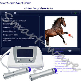Medizinische pferdeartige Stoßwellen-Veterinärmaschine für Patellar Tendinopathy