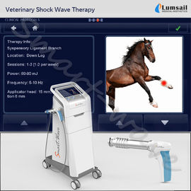 Extracorporeal pferdeartige Stoßwellen-Maschinen-Veterinärphysiotherapie für kleine Haustiere