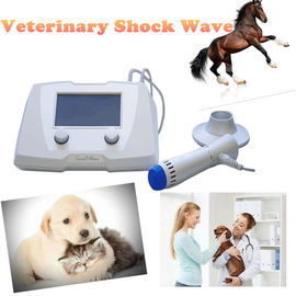 Pferdeartige Stoßwellen-Veterinärmaschine für Tier-weiche Frage/Sehnen-Verletzung