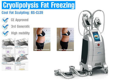 Fetter Frost, der Cryolipolysis-Körper abnimmt Maschinen-Überschalloperation Systerm abkühlt