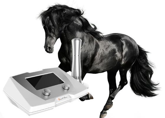 Sehnen-Verletzungs-pferdeartige Stoßwellen-Maschine/pferdeartiges Stoßwellen-Therapie-Gerät