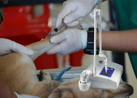 Medizinisches Instrument Veterinär-CO2 Bruchlaser-Maschine für Hunde/Tierklinik