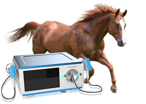 Fokussierte Übermittler-Pferdestoßwellen-Therapie-Maschine für Pferderückenschmerzen