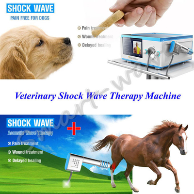 Fokussierte Übermittler-Pferdestoßwellen-Therapie-Maschine für Pferderückenschmerzen
