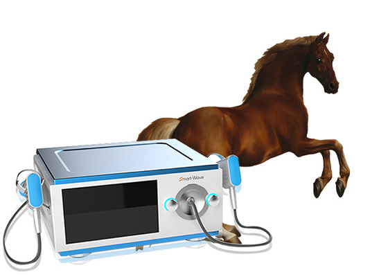 Lärmarmes Pferdepferdeartige Druckwelle-Therapie-Ausrüstung für die Schmerz BS-SWT5000
