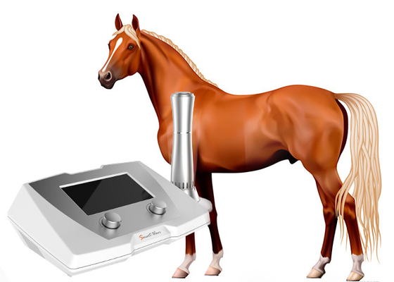 Sehnen-Verletzungs-pferdeartige medizinische Physiotherapie-Geräte