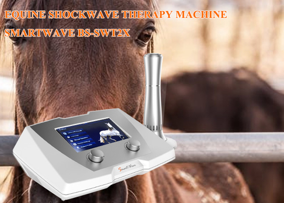 Der Klinik-Pferdestoßwellen-Therapie-Maschinen-1 - 22 Hz Frequenz-für suspensive Ligament-Krankheit