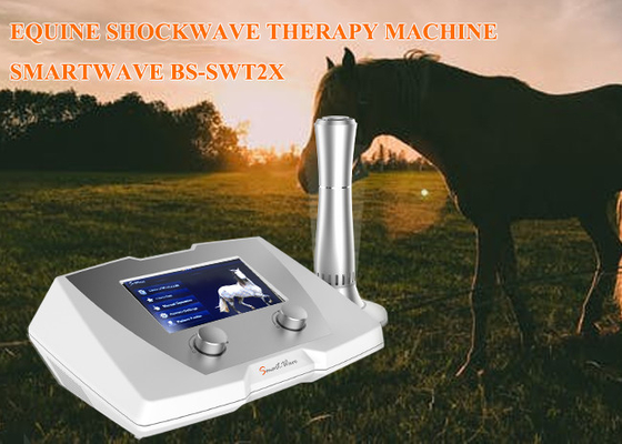 Der Klinik-Pferdestoßwellen-Therapie-Maschinen-1 - 22 Hz Frequenz-für suspensive Ligament-Krankheit