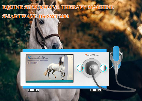 ESWT-Pferdeextracorporeal Stoßwellen-Therapie-Gerät