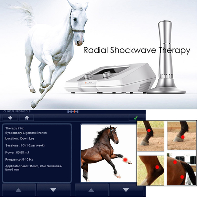 Sehnen-Verletzungs-pferdeartige medizinische Physiotherapie-Geräte