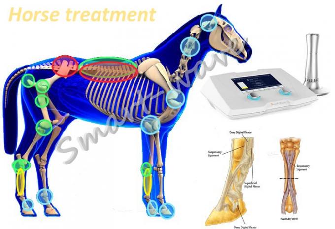 Hochenergiedruckwelletherapiemaschinenveterinärdruckwelle-Therapiemaschine für Rennpferd