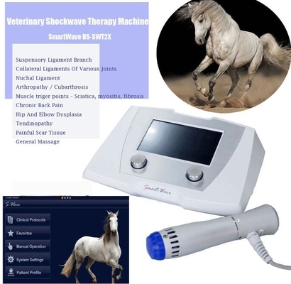Veterinär-Radial-Pulswellen-ESWT-Pferde-Stoßwellen-Therapiegerät für Pferde