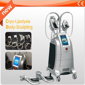 4 Griffe Cryolipolysis-Gewichtsverlust-Ausrüstung, die Maschine für schnellen Fettabbau abnimmt