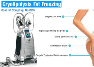 Cryo, das Cryolipolysis-Körper abnimmt Maschine, Gewichtsverminderungs-Ausrüstung einfriert