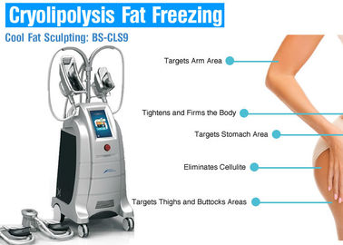 4 Griffe fetter einfrierender Cryolipolysis-Körper, der Maschine für Gewichtsverlust-/Cellulite-Reduzierung abnimmt