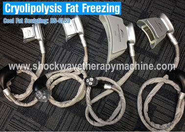 4 Griffe fetter einfrierender Cryolipolysis-Körper, der Maschine für Gewichtsverlust-/Cellulite-Reduzierung abnimmt