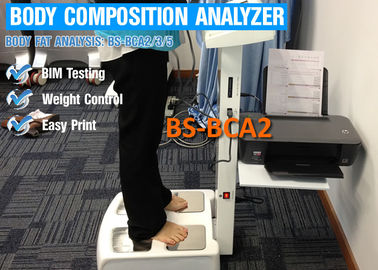 Touch Screen Körper-Zusammensetzungs-Analysator für Körperfett/Nahrungs-Analyse mit Drucker