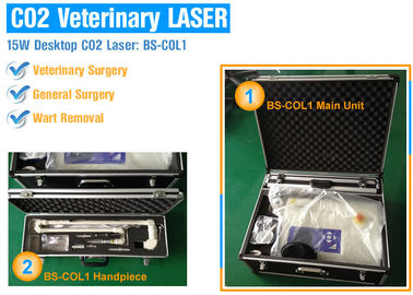 CO2-Laser-Behandlungs-Maschine Protable Bruchfür die erneuernde/Falten Haut