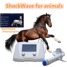 Pferdeartige Stoßwellen-Maschinen-Veterinärausrüstung für Hunde-/Pferdeweiß-Farbe