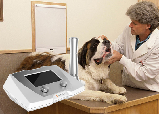 Veterinärgebrauch verzögerte heilende Bruch-Behandlungs-pferdeartige/Hunde- Stoßwellentherapie Maschine
