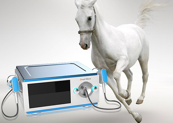 Die Schmerz verringern lärmarme Pferdestoßwellen-Maschine für Pferdemedizinisches gerät