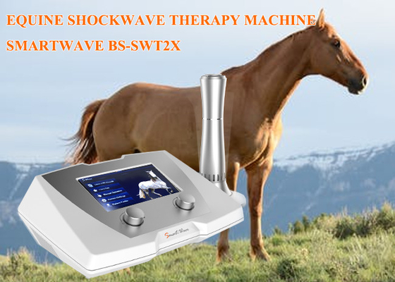Medizinische pferdeartige Stoßwellen-Maschine 10mj - 190mj Energie 320 * 225 * 126mm