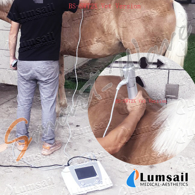 Radial-ESWT-pferdeartige Veterinärstoßwellen-Therapie-Maschine