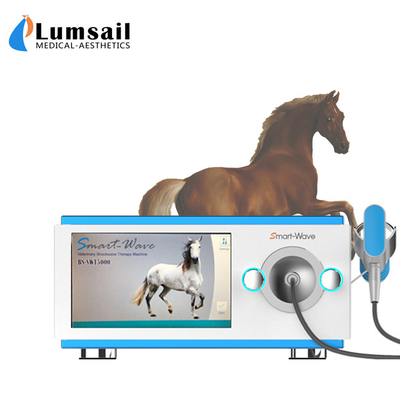 Kleine tierische körperliche pferdeartige Stoßwellen-radialmaschine für Pferdebehandlung