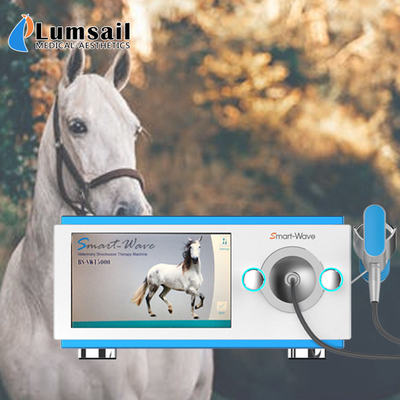 Medizinische Physiotherapie-Schock-Veterinärmaschine für pferdeartiges übersichtliches Design